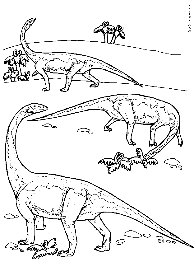 Diplodocus lived during the Jurassic period. The name Diplodocus, pronounced 'dip-LOP-oh-kus', means 'double beam', which describes a feature of its backbone.