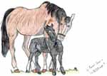 Mare and Foal