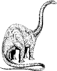 Apatosaurus