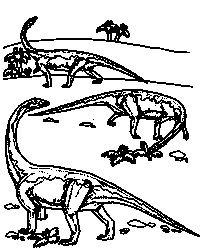 Diplodocus