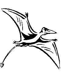 Rhamphorhynchus