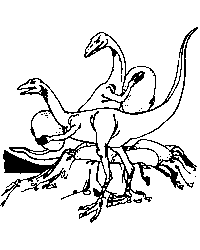 Velociraptor