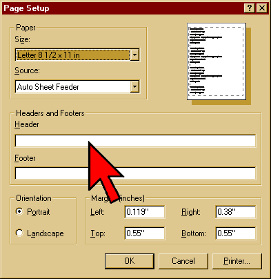 Page Setup Dialog Box