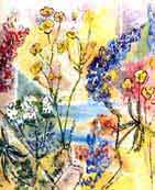 Watercolor Flowers